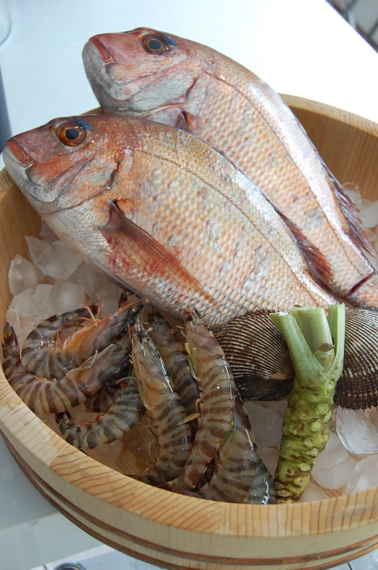 飯台に並べた鯛と車海老、山葵